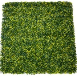 Seto Decorativo Buxus 100X100Cm