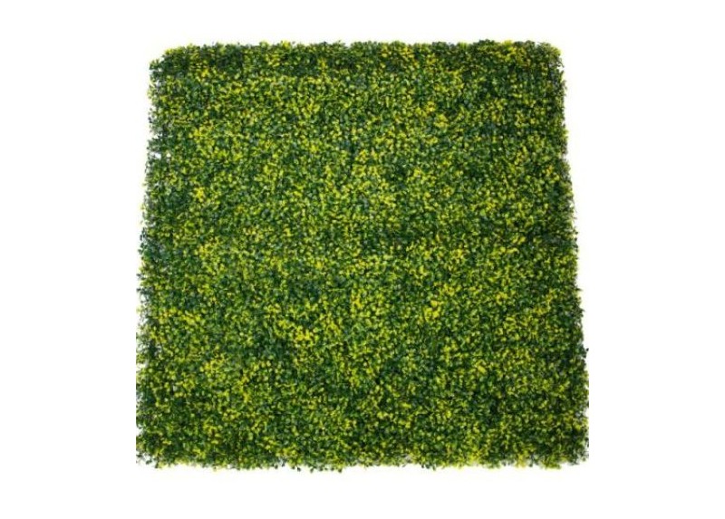 Seto Decorativo Buxus 100X100Cm